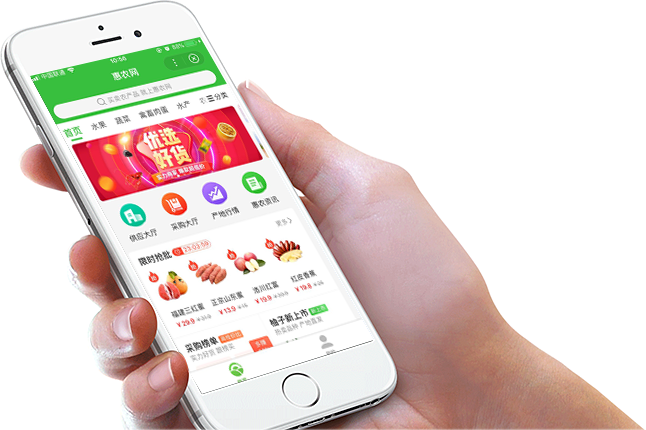 湖南魚(yú)竹科技百度智能小程序